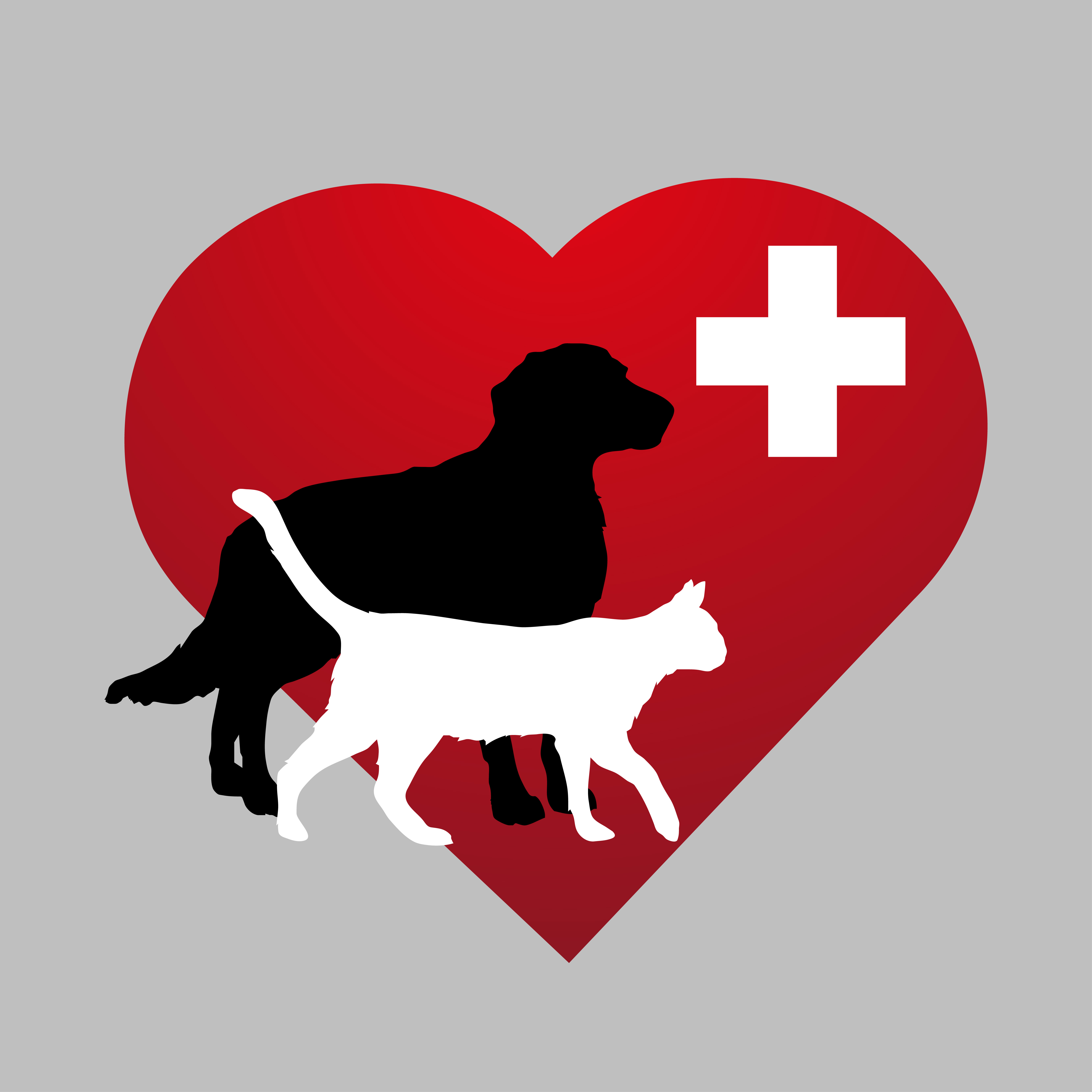 drb logo veterinarian