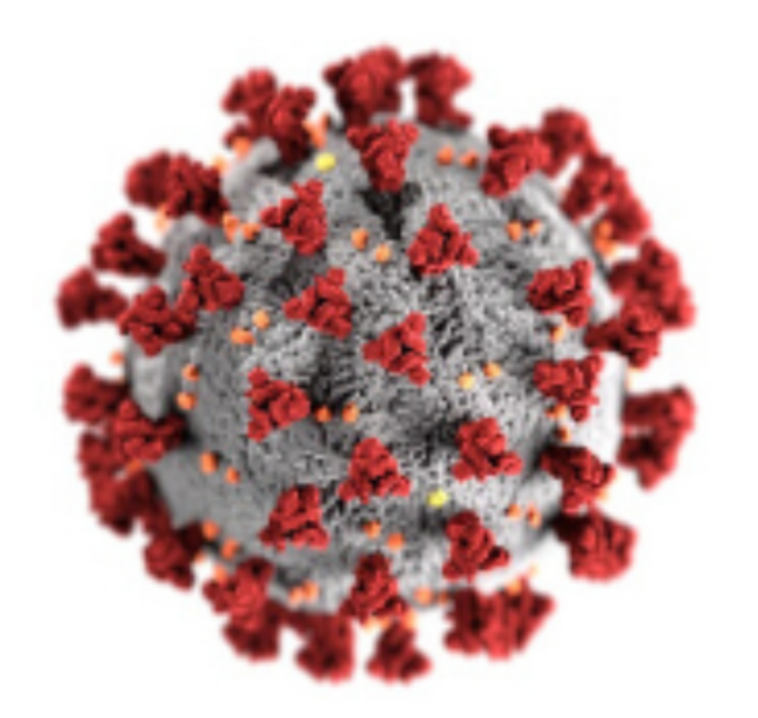 Covid-19 Virus Model