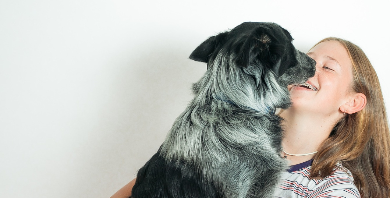 girl x border collie(1280 × 650 px)