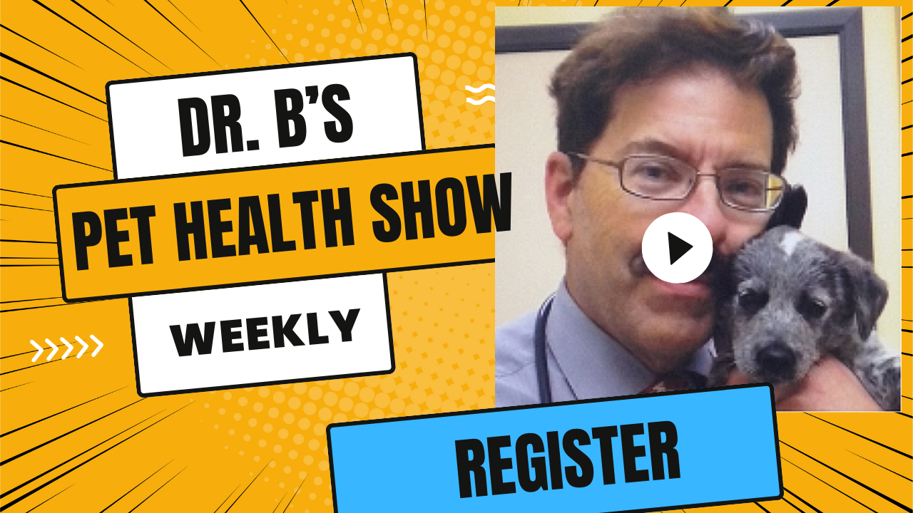 Dr. Bruce's Weekly Show